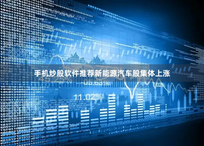 手机炒股软件推荐新能源汽车股集体上涨