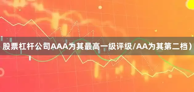 股票杠杆公司AAA为其最高一级评级/AA为其第二档）