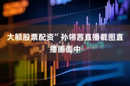 大额股票配资”孙翎茜直播截图直播画面中