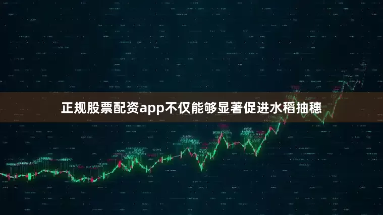 正规股票配资app不仅能够显著促进水稻抽穗