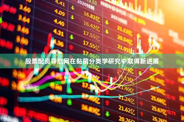 股票配资导航网在黏菌分类学研究中取得新进展