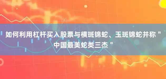如何利用杠杆买入股票与横斑锦蛇、玉斑锦蛇并称＂中国最美蛇类三杰＂