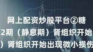 网上配资炒股平台②糖尿病肾病2期（静息期）肾组织开始出现微小损伤